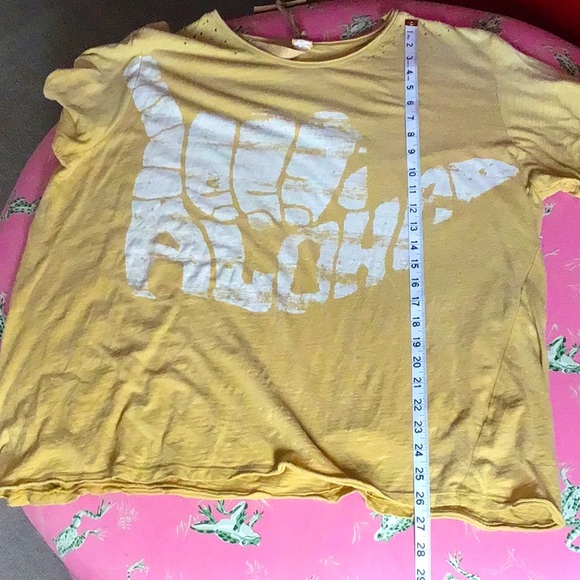 Magnolia pearl T. - Picture 7 of 9